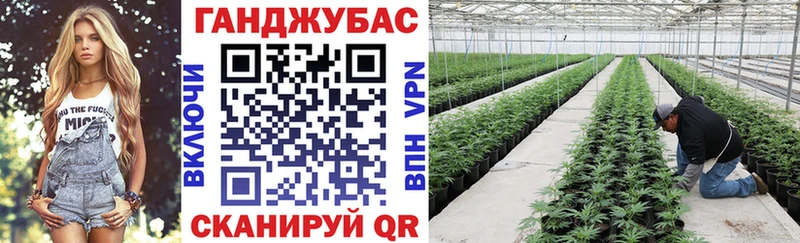 Купить наркотик аптеки Новосиль ГАШ  Псилоцибиновые грибы  Альфа ПВП  Меф мяу мяу  Канабис 