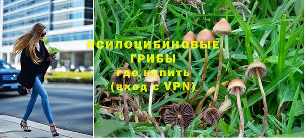 МДПВ Алексеевка
