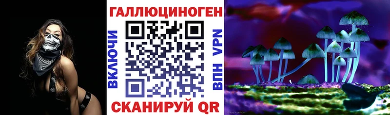 ссылка на мегу зеркало  Новосиль  Галлюциногенные грибы Psilocybine cubensis 